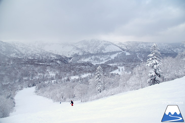 キロロリゾート 児玉毅の『雪山の達人』に密着！